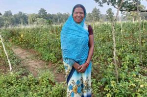  छत्तीसगढ की टमाटर ‘महाराष्ट्र की रसोई’ तक पहुंची