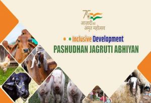 रजत जयंती वर्ष पर 17 से 24 अक्टूबर तक मनाया जाएगा पशुधन जागृति अभियान रजत जयंती वर्ष पर 17 से 24 अक्टूबर तक मनाया जाएगा पशुधन जागृति अभियान