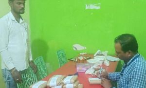 त्योहारी सीजन पर खाद्य पदार्थों की गुणवत्ता जांच हेतु सतत निरीक्षण जारी त्योहारी सीजन पर खाद्य पदार्थों की गुणवत्ता जांच हेतु सतत निरीक्षण जारी