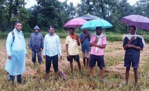 अधिकारियों द्वारा फसल की क्षति का आकलन करने किया गया निरीक्षण अधिकारियों द्वारा फसल की क्षति का आकलन करने किया गया निरीक्षण