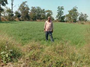 कृषक वामन टिकरिहा डॉ. खूबचंद बघेल कृषक रत्न पुरस्कार हेतु चयनित कृषक वामन टिकरिहा डॉ. खूबचंद बघेल कृषक रत्न पुरस्कार हेतु चयनित