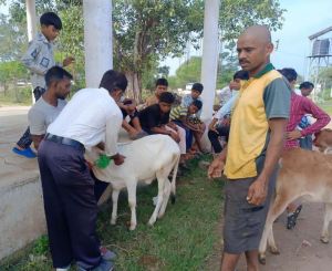 ग्राम भोथीपारखुर्द पुराना में नि:शुल्क एक दिवसीय पशु चिकित्सा शिविर का हुआ आयोजन ग्राम भोथीपारखुर्द पुराना में नि:शुल्क एक दिवसीय पशु चिकित्सा शिविर का हुआ आयोजन