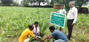बंदूक की गूंज से फलों और फूलों की महक तक का सफर बंदूक की गूंज से फलों और फूलों की महक तक का सफर