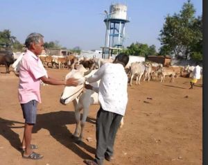  ग्राम तेलगांन और बीजेपार में एक दिवसीय पशु चिकित्सा शिविर आयोजित