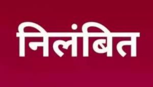  बीएलओ द्वारा लापरवाही बरते जाने पर निलंबन