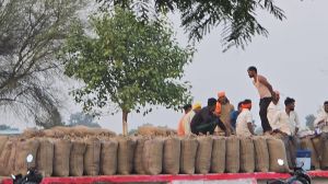  रायपुर जिले में जोर–शोर से चल रही धान खरीदी, किसानों में उत्साह का माहौल