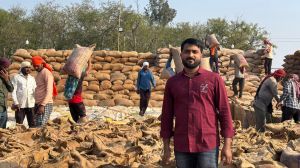  समर्थन मूल्य में बढोत्तरी ने गजल यादव को बनाया सफल 'टेक्नो-फार्मर'