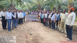  किसानों को  मिली ऑयल पाम योजना की तकनीकी जानकारी 