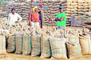  धान बिक्री के लिए अधिकतम 3 टोकन की सुविधा