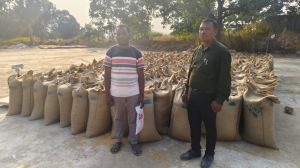 किसानों के पसीने का मिल रहा है उचित मूल्य किसानों के पसीने का मिल रहा है उचित मूल्य