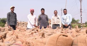  राजनांदगांव जिले में धान की खरीदी उत्सव के लिए किसानों में उत्साह एवं खुशी