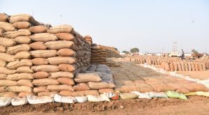  जिले के 87 समितियों के 102 उपार्जन केन्द्रों में धान खरीदी प्रक्रिया युद्धस्तर पर जारी