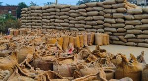  रायपुर जिले में  बुधवार को हुई लगभग 1 लाख 14 हजार 197.00 क्विंटल धान खरीदी