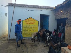 मनरेगा से मिला पक्का बकरी शेड मनरेगा से मिला पक्का बकरी शेड
