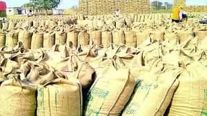 रायपुर जिले में हुई लगभग 1 लाख 6 हजार 451.20 क्विंटल धान खरीदी