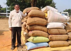  मेहनत की फसल, सम्मान की कीमत