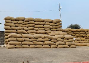    रायपुर जिले में शुक्रवार को हुई लगभग 1 लाख 11 हजार 730.00 क्विंटल धान खरीदी