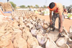 70,178.32 मे. टन धान की खरीदी