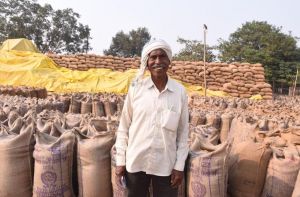  किसान बिश्राम दास ने मेहनत का उचित दाम मिलने पर जाहिर की प्रसन्नता