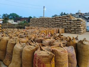  रायपुर जिले में आज हुई लगभग 1 लाख 13 हजार 981.60 क्विंटल धान खरीदी