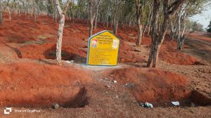  &rsquo;मोर गांव मोर पानी&rsquo; अभियान के तहत दुर्ग जिले में जल संरक्षण कार्यों को मिली गति