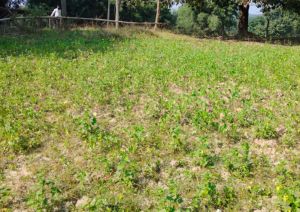 सोनकुंवर भूमि पर परकोलेशन टैंक निर्माण कर तरक्की की राह पर बढ़ा आगे