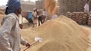 धान विक्रय प्रक्रिया हुई सरल, अब दिन-रात कभी भी मिलेगा तुहर टोकन