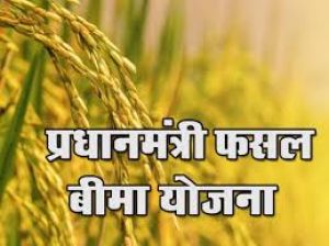  पुनर्गठित मौसम आधारित फसल बीमा 31 दिसम्बर तक