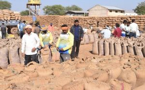  राजनांदगांव जिले में धान की खरीदी अभियान से किसानों में हर्ष व्याप्त