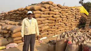 धान की अच्छी कीमत ने बढ़ाया किसान युगल किशोर का हौसला