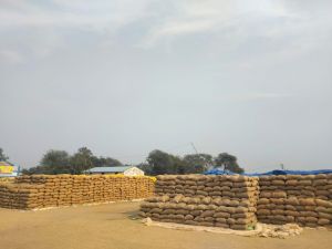 आरंग के 18 धान खरीदी केन्द्रों से &zwnj;उठाव की&zwnj; गति धीमी, 4 लाख क्विंटल धान जाम 