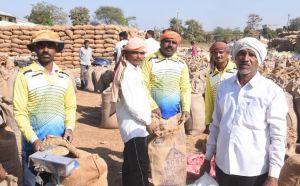 राजनांदगांव जिले में धान की खरीदी अभियान से किसानों में हर्ष व्याप्त