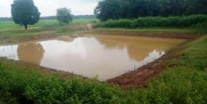 जिले में किया जाएगा 300 आजीविका डबरी का निर्माण