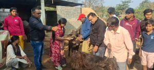 ग्राम बकतरा में निशुल्क पशु चिकित्सा शिविर का आयोजन