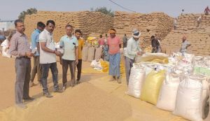 रायगढ़ जिले में 2.58 लाख मीट्रिक टन की खरीदी