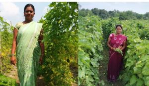  राष्ट्रीय ग्रामीण आजीविका मिशन: कर्ज के बोझ से मुक्त होकर आत्मनिर्भर बनी सुष्मिता जाटवर