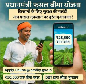   प्रधानमंत्री फसल बीमा योजना  : किसान 15 जनवरी तक करा सकते है फसलों का बीमा