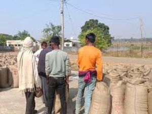 धान खरीदी महज 9 दिन &zwnj;बाकी , सोसायटियां और किसान सांसत् में, ज्ञापन 