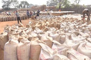  उपार्जन केन्द्रों से 1 लाख 73 हजार मीट्रिक टन  धान का उठाव  