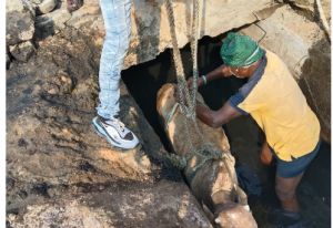   नाले में गिरे बछड़े को निगम जोन 7 स्वास्थ्य विभाग की टीम ने सुरक्षित बाहर निकाला 