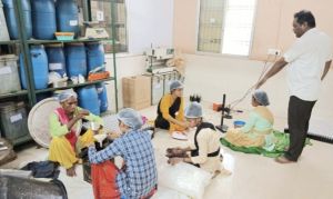  पीवीटीजी महिलाएं बनीं आत्मनिर्भरता की मिसाल