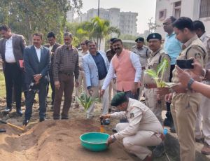 हाइड्रोपोनिक्स से टेरेस गार्डन को मिल रही नई दिशा हाइड्रोपोनिक्स से टेरेस गार्डन को मिल रही नई दिशा