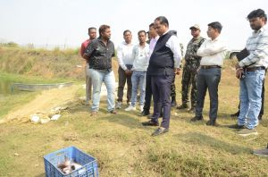  कलेक्टर ने किया सेजबहार में मत्स्य पालन का अवलोकन