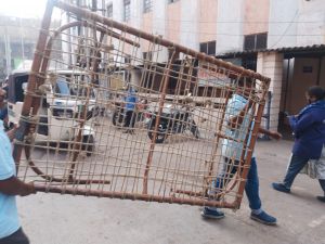  टीम प्रहरी द्वारा की जा रही निरंतर कार्रवाई