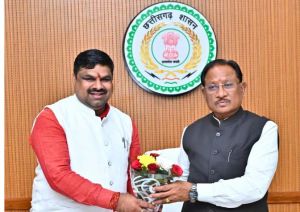  प्रदेश सरकार का बजट विकास की रफ्तार को देगा नई गति &ndash; मंत्री गजेन्द्र यादव