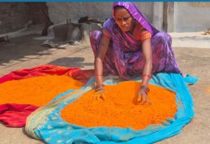 हर्बल गुलाल से और भी रंगीली होगी होली हर्बल गुलाल से और भी रंगीली होगी होली