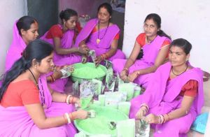  इस बार प्राकृतिक रंगों से रंगीन होगी होली : स्व सहायता समूह की महिलाएं कर रही है प्राकृतिक गुलाल का निर्माण