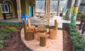   गार्बेज से गौरव तक: डंपिंग ग्राउंड से बनी &lsquo;जनजातीय गौरव वाटिका&rsquo;