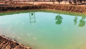  राष्ट्रीय ग्रामीण रोजगार गारंटी योजना: मजबूत हुई आजीविका की राह