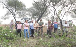 धरसीवां क्षेत्र की आर्द्रभूमियों को पक्षी अवलोकन केंद्र के रूप में विकसित करने की पहल